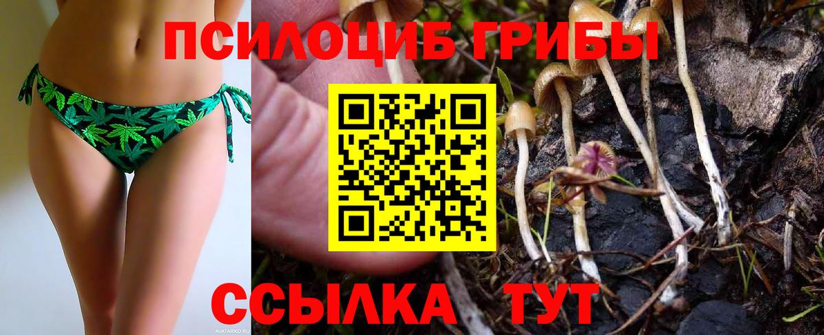 Галлюциногенные грибы мухоморы  Галлюциногенные грибы мицелий  Вход с VPN  продажа наркотиков  Заводоуковск 